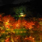 京都の紅葉を見るならここがおススメ！