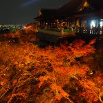 京都紅葉情報まとめ（2018年～2020年）