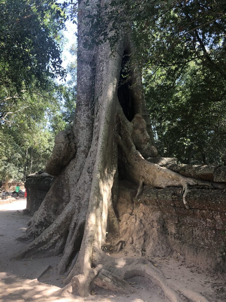 angkorwat60