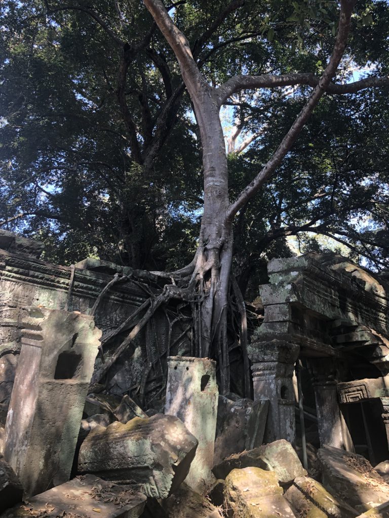 angkorwat61