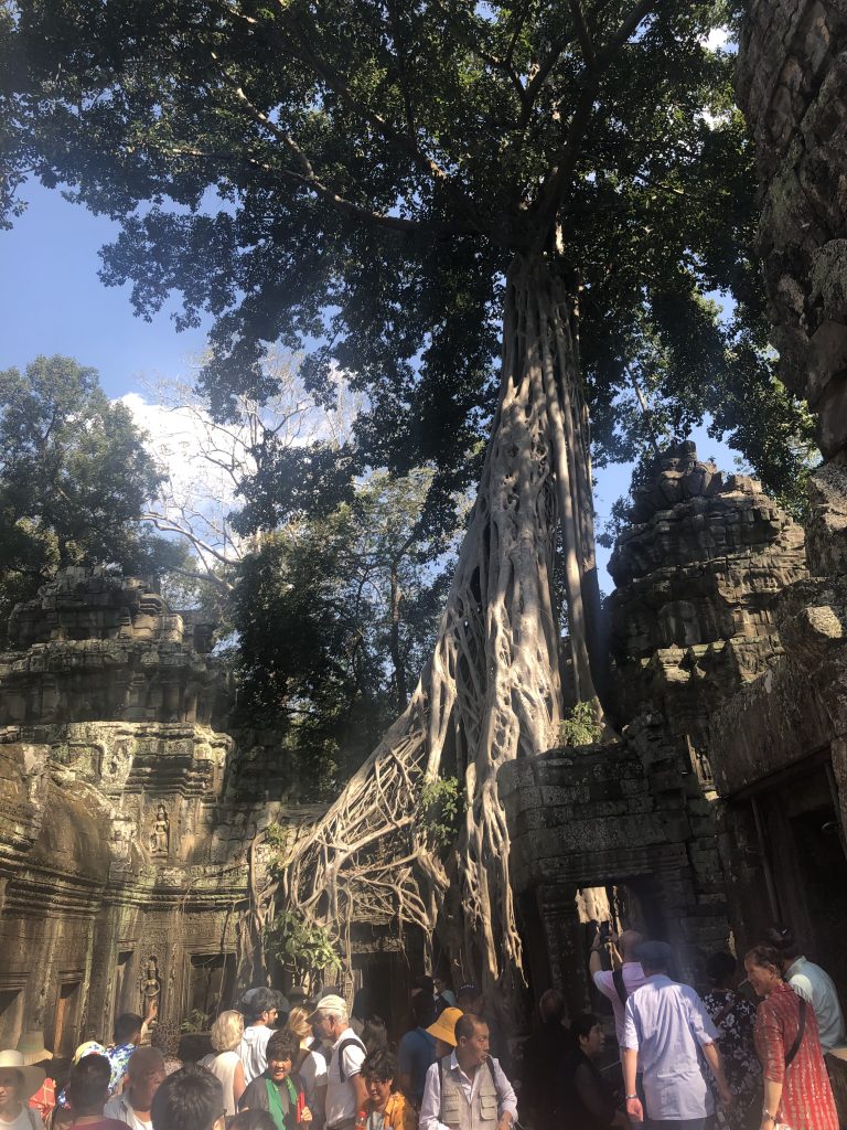 angkorwat63