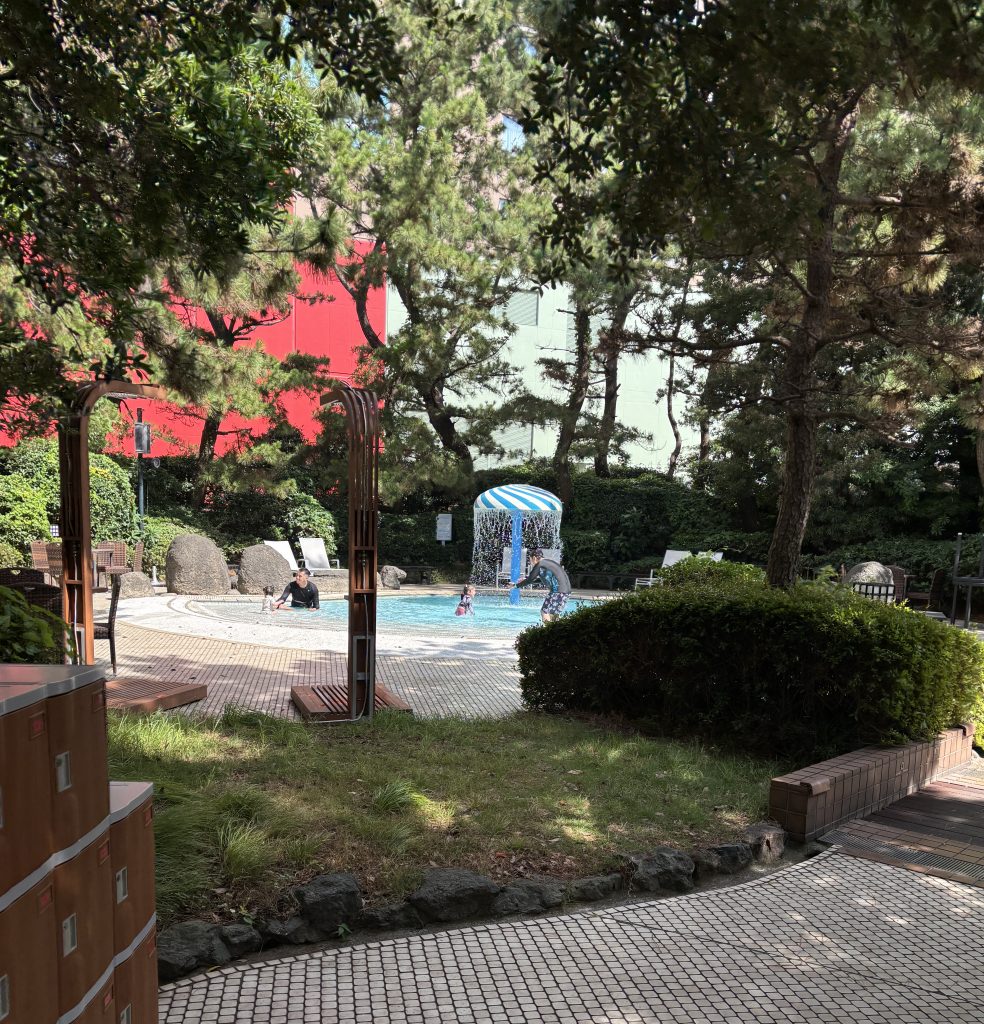 IMG_3371